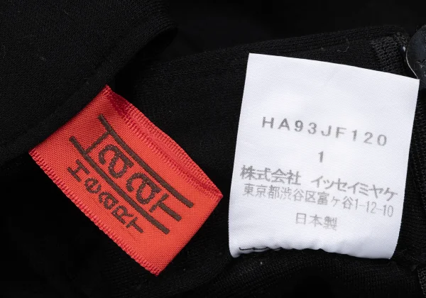 ISSEY MIYAKE HaaT Rayon Stretch Hem Zip Pants K-163625_012