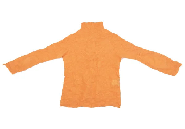 ISSEY MIYAKE Wrinkle Pleats Turtle Neck Top K-163693_002