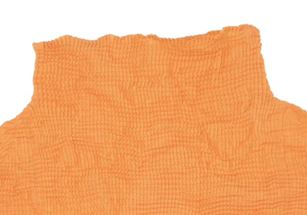 ISSEY MIYAKE Wrinkle Pleats Turtle Neck Top K-163693_005