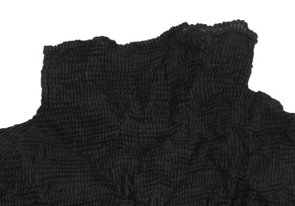 ISSEY MIYAKE Wrinkle Pleats Turtle Neck Top  K-163694_004