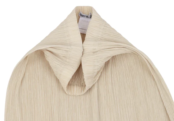 ISSEY MIYAKE Crepe Pleats Skirt  K-163695_006