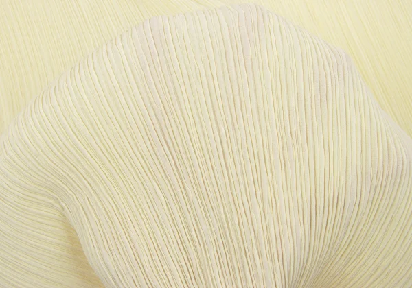 ISSEY MIYAKE FETE Crape Pleats Sleeveless Dress K-163698_011