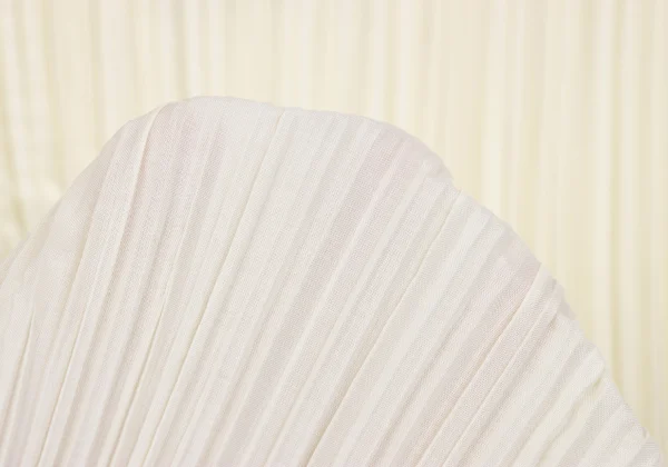 ISSEY MIYAKE FETE Design Sleeve Pleated Collarless Jacket K-163700_011