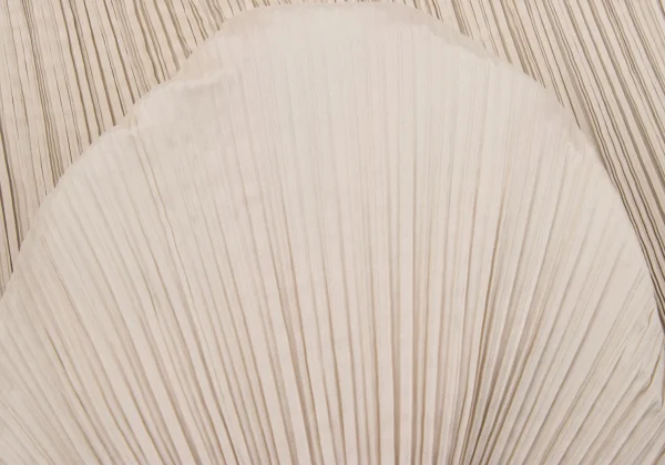 ISSEY MIYAKE FETE Pleats Slit Skirt K-163701_008