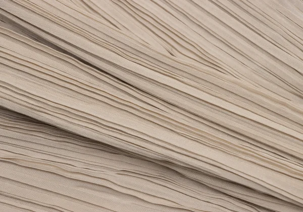 ISSEY MIYAKE FETE Pleats Slit Skirt K-163701_009