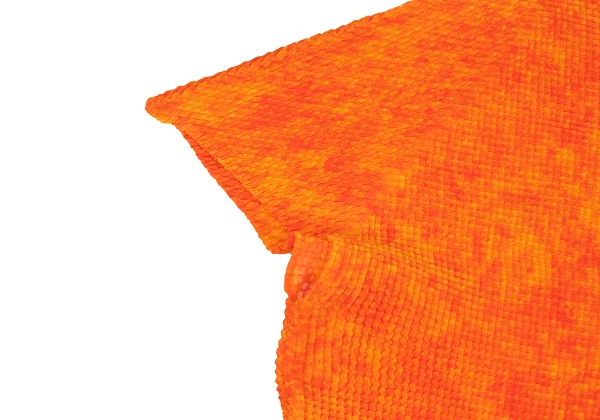 ISSEY MIYAKE PLEATS (T.) Stretch Pleats Printed T Shirt K-163718_005