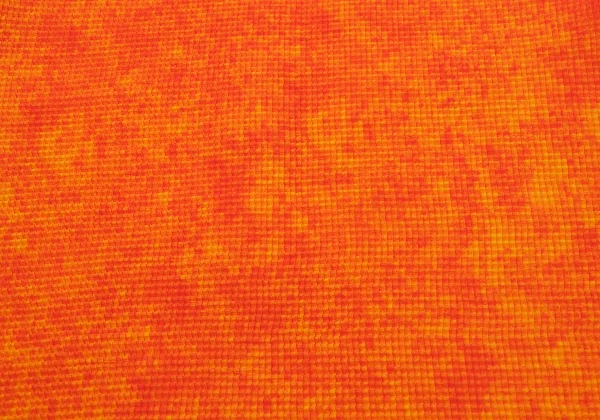 ISSEY MIYAKE PLEATS (T.) Stretch Pleats Printed T Shirt K-163718_009