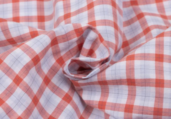 Papas+ Cotton Check Button Down Short Sleeve Shirt K-163742_013