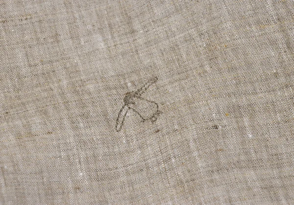 Papas+ Animals Embroidery Linen Shirt K-163744_011