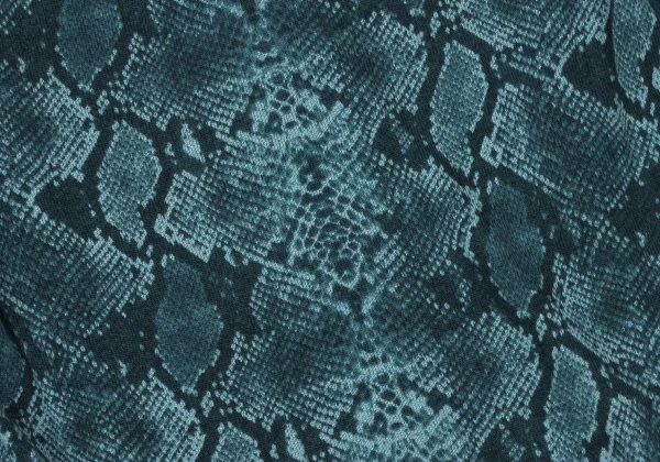 HYSTERIC GLAMOUR Rayon Blend Python Printed V-neck Knit Top K-163860_010