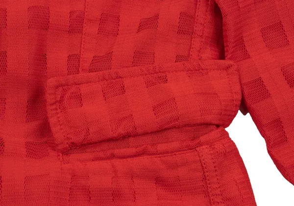 COMME des GARCONS COMME des GARCONS Poly Mesh Check Jacket K-163919_011