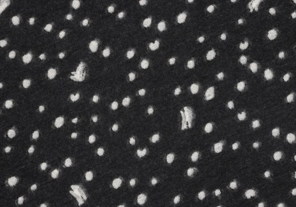 TSUMORI CHISATO Pory Rayon Dot Jacquard T Shirt K-164159_009