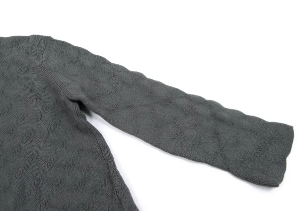 COMME des GARCONS HOMME PLUS Wool Zigzag Turtleneck Knit Sweater K-164310_005