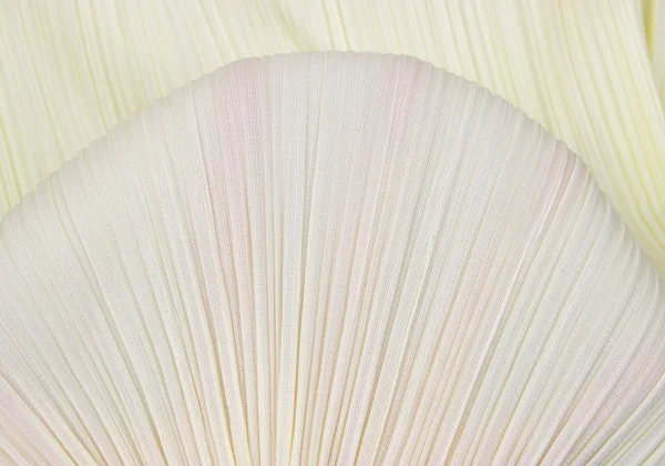 PLEATS PLEASE High-neck Long Sleeve Top K-164396_012