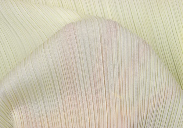 ISSEY MIYAKE Long Skirt K-164399_013