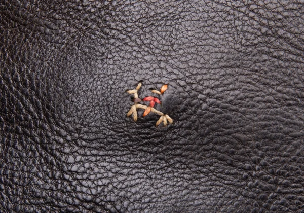 HENRY CUIR Leather Shoulder Bag K-164528_007