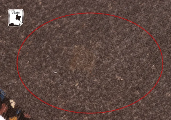 JURGEN LEHL Printed Corduroy Skirt K-164755_008