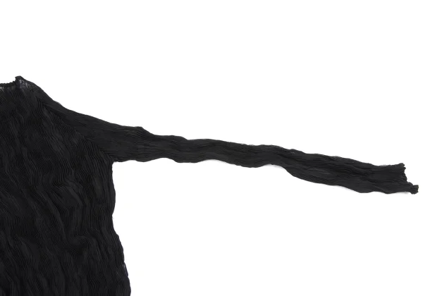 ISSEY MIYAKE Wrinkle Pleats See-through Top K-164801_005