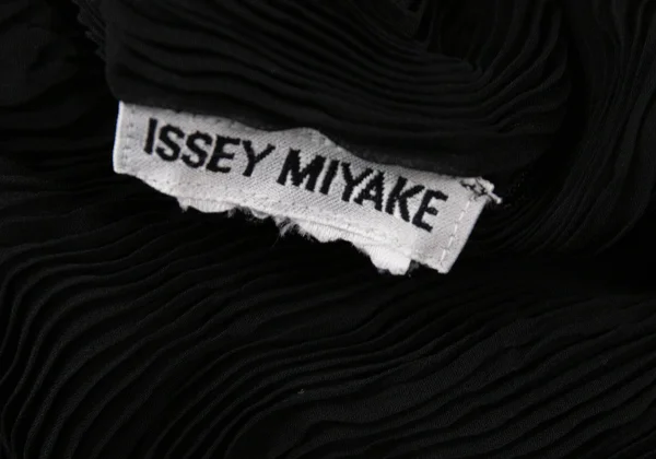 ISSEY MIYAKE Wrinkle Pleats See-through Top K-164801_014
