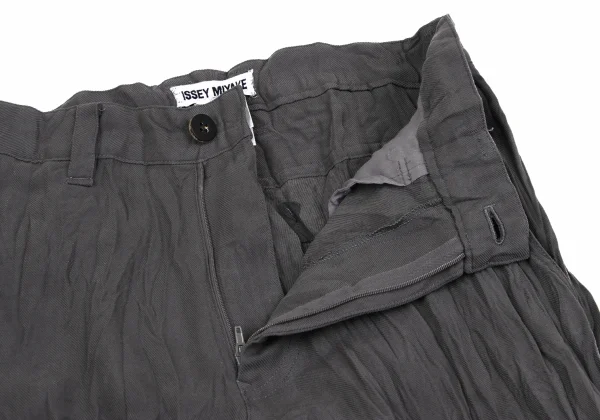 ISSEY MIYAKE Wrinkle Poly Pants K-164803_004