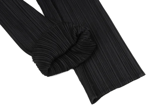 ISSEY MIYAKE Pleats Pants K-164804_006