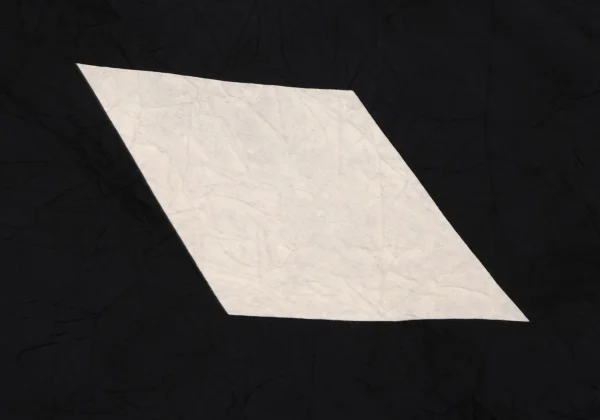 Y's Diamond Discharge Printing Cupra Dropped Crotch Pants K-164877_011