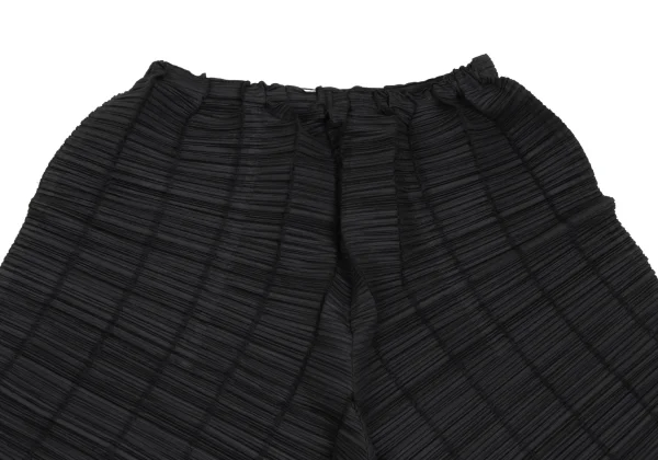 PLEATS PLEASE Stripe Weaving Pleated Pants K-164905_002