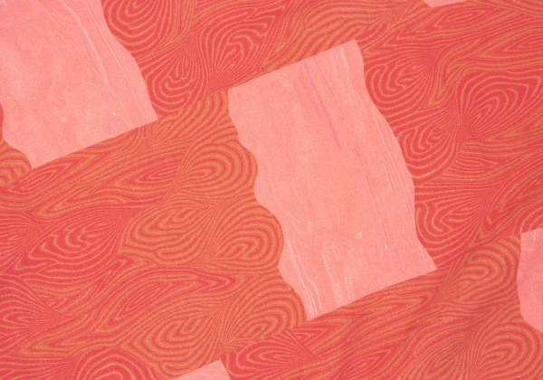 ISSEY MIYAKE Printed Sleeve Switching T-shirt K-164930_011