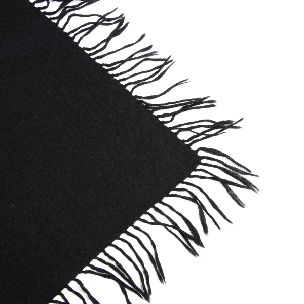 AGNONA Silk Blended Cashmere Fringe Stole K-164978_003