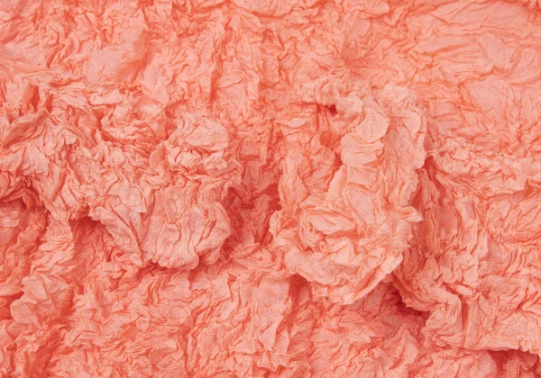 ISSEY MIYAKE Wrinkled Pleated High Neck T-shirt K-165111_006