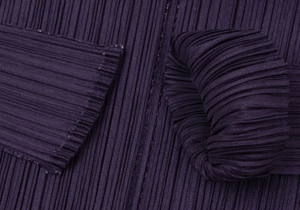 PLEATS PLEASE Zigzag Skipper High Neck Top K-165119_008