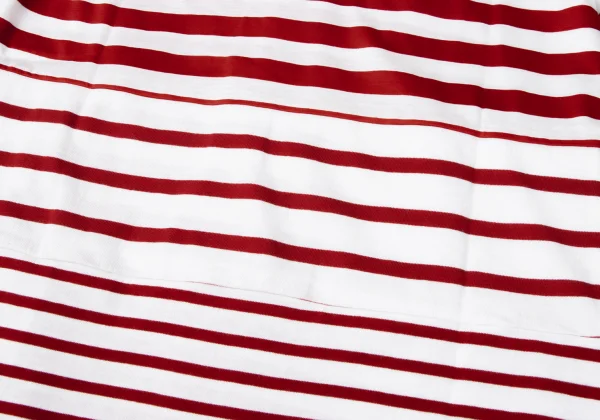 COMME des GARCONS Cotton Stripe Switching T Shirt K-165135_011