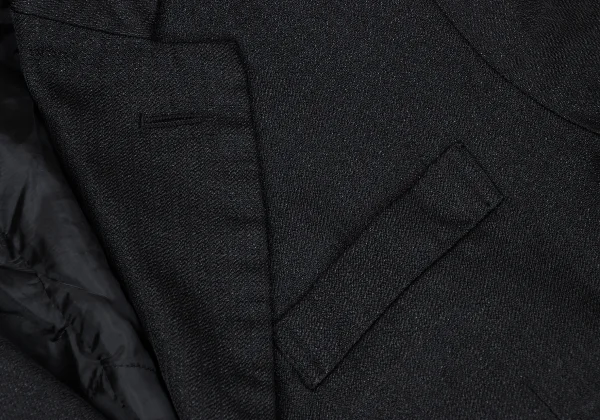 COMME des GARCONS Frill Design Glitter Striped Jacket K-165143_006