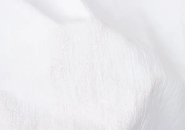 tao Georgette Neck Ruffle Skipper Blouse K-165158_013