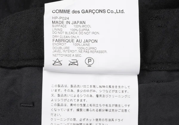 COMME des GARCONS HOMME Wool Lined Striped Pants K-165268_012