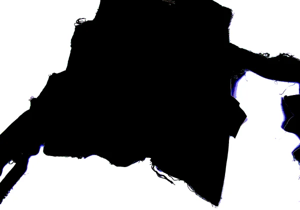 tricot COMME des GARCONS Dyed Velour Switching Corsage Vest K-165313_010