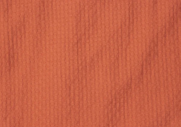 gigli Cotton Check Woven Shirt K-165370_015