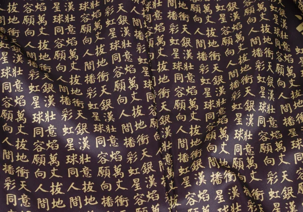 Jean Paul GAULTIER FEMME Lining Kanji Printed Jacket K-165463_011