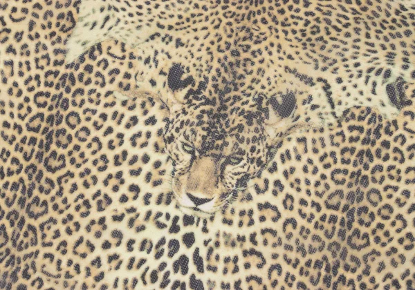 Unbranded Leopard Mesh Stole K-165631_004