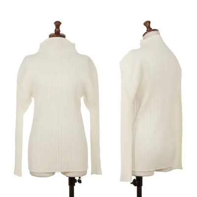PLEATS PLEASE Pleats High-neck Top