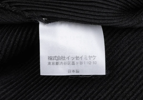 PLEATS PLEASE Mist Pleats Top K-165844_011