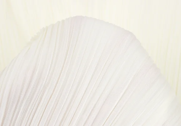 PLEATS PLEASE Pleats Open Collar Shirt K-165862_012