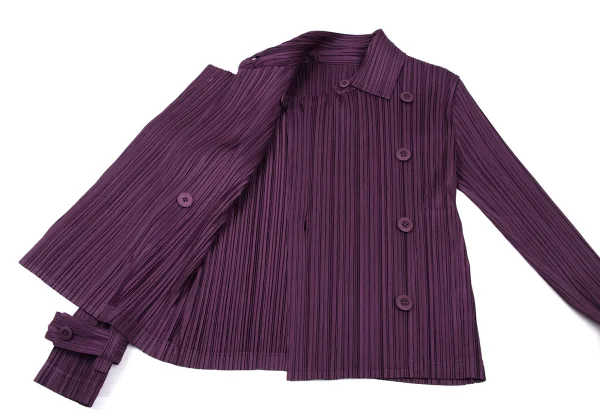 PLEATS PLEASE Pleats Double Jacket K-165966_010