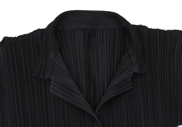 PLEATS PLEASE Pleats Long Jacket K-165969_004