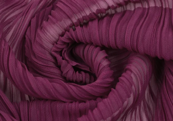 Unbranded See-through Large Pleated Stole K-165994_004