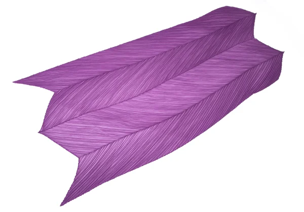 Unbranded See-through Large Pleated Stole K-165995_002