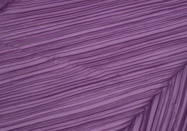 Unbranded See-through Large Pleated Stole K-165995_004