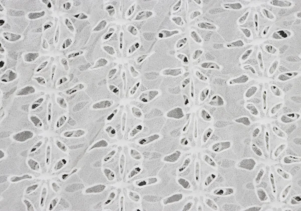 robe de chambre COMME des GARCONS Lace Pants K-166053_010