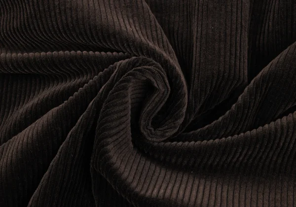 COMME des GARCONS HOMME Corduroy Double Jacket K-166207_018