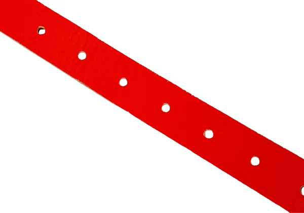 COMME des GARCONS HOMME PLUS Neon Color Leather Belt K-166315_006